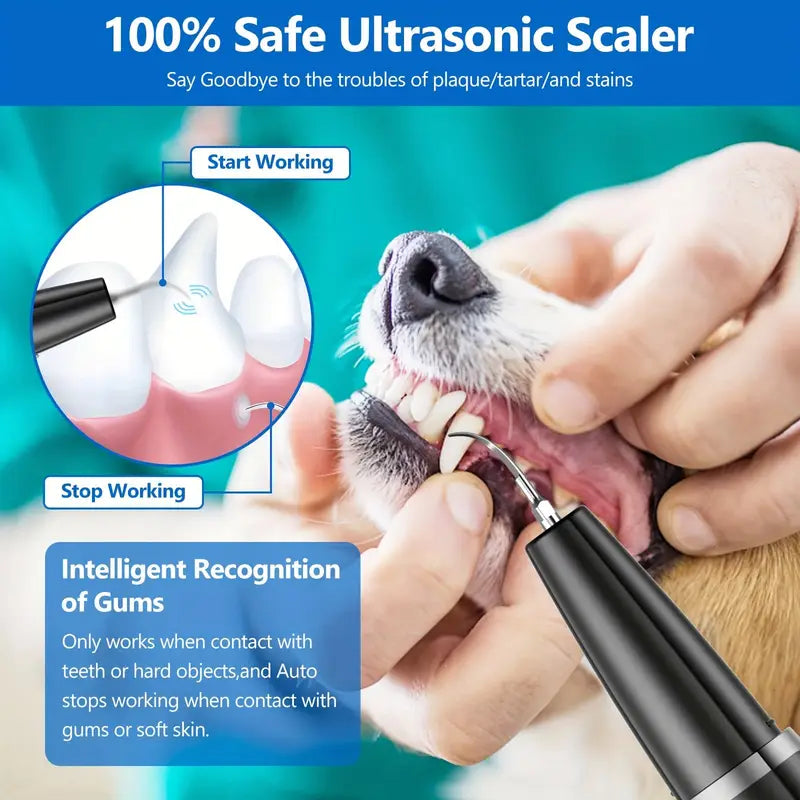 Pet Ultrasonic Teeth Cleaning Kit, Suitable for Dogs and Cats