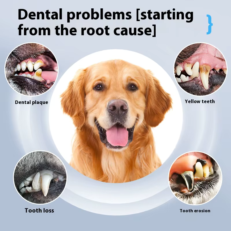 Pet Ultrasonic Teeth Cleaning Kit, Suitable for Dogs and Cats